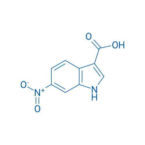 6-Nitro-1H-indole-3-carboxylic acid 1g