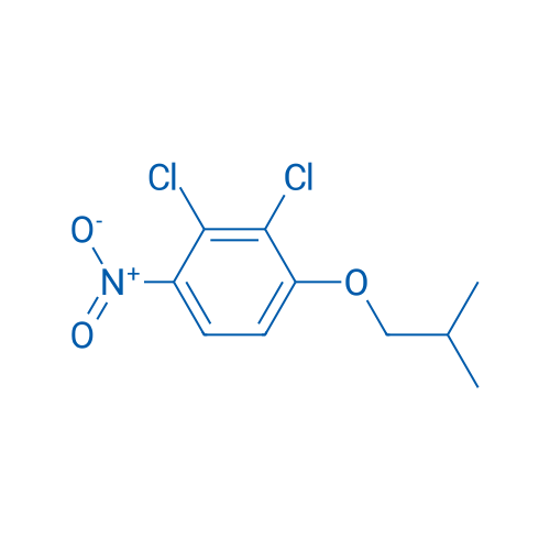 2,3-DIchloro-4-nitro-1-isobutoxybenzene 1g