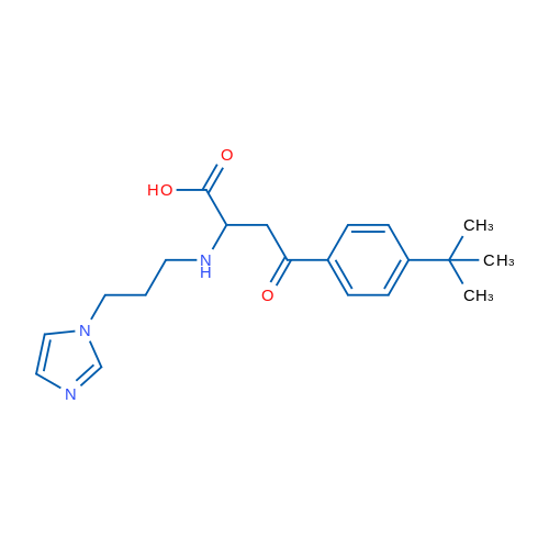 4-(4-tert-Butylphenyl)-2-{[3-(1H-imidazol-1-yl)propyl]amino}-4-oxobutanoic acid 1g