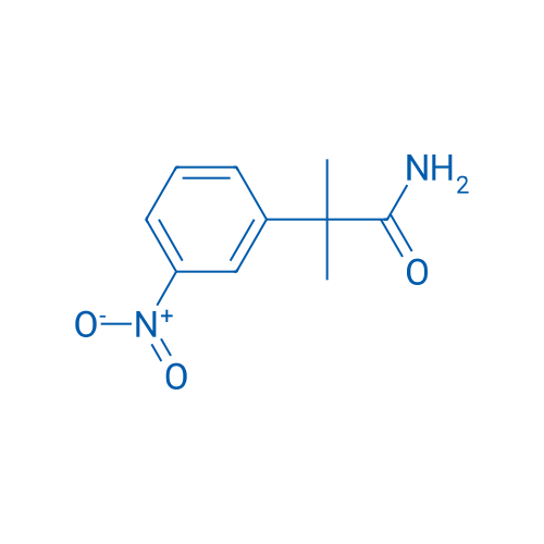 2-Methyl-2-(3-nitrophenyl)propanamide 1g