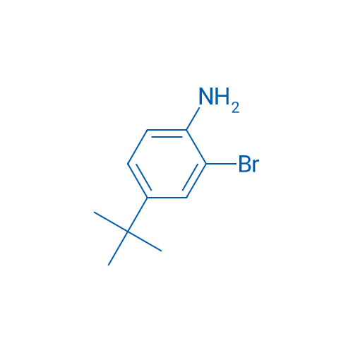 2-Bromo-4-(tert-butyl)aniline 100g