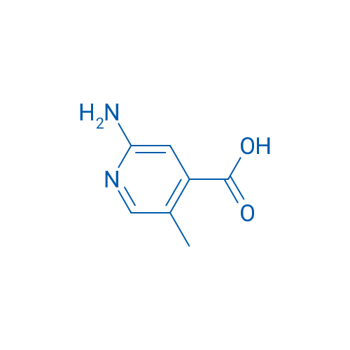 2-Amino-5-methylisonicotinic acid 1g