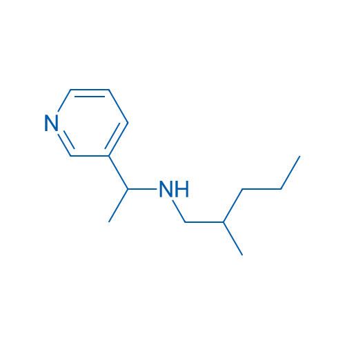 (2-Methylpentyl)[1-(pyridin-3-yl)ethyl]amine 100mg