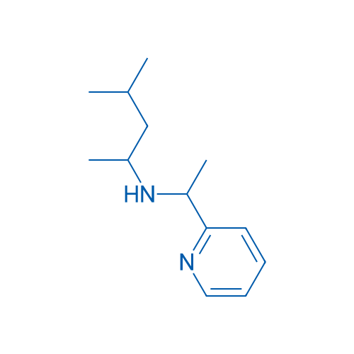 (4-Methylpentan-2-yl)[1-(pyridin-2-yl)ethyl]amine 5g