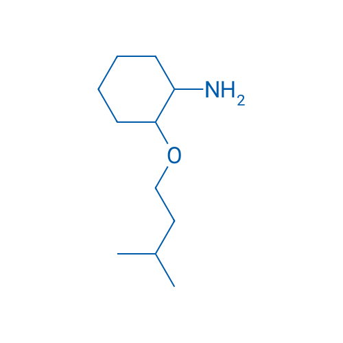 2-(3-Methylbutoxy)cyclohexan-1-amine 5g