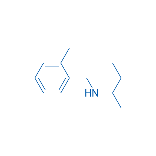 [(2,4-Dimethylphenyl)methyl](3-methylbutan-2-yl)amine 5g