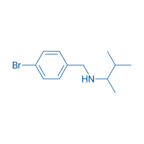 [(4-Bromophenyl)methyl](3-methylbutan-2-yl)amine 1g