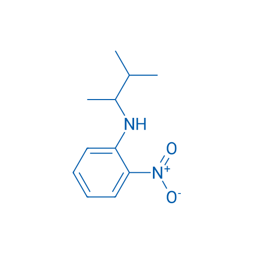 N-(3-Methylbutan-2-yl)-2-nitroaniline 1g