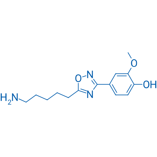 4-[5-(5-Aminopentyl)-1,2,4-oxadiazol-3-yl]-2-methoxyphenol 1g