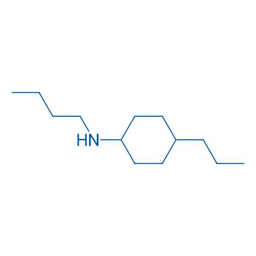 N-Butyl-4-propylcyclohexan-1-amine 10g