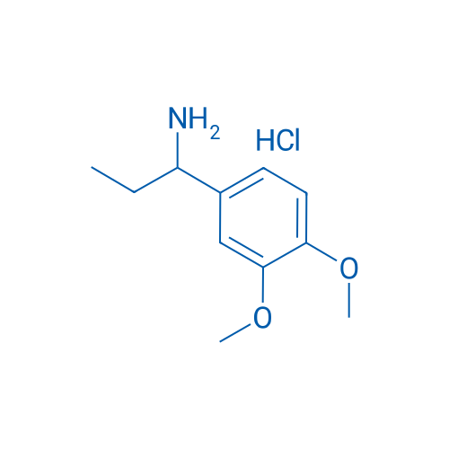 [1-(3,4-Dimethoxyphenyl)propyl]amine hydrochloride 1g