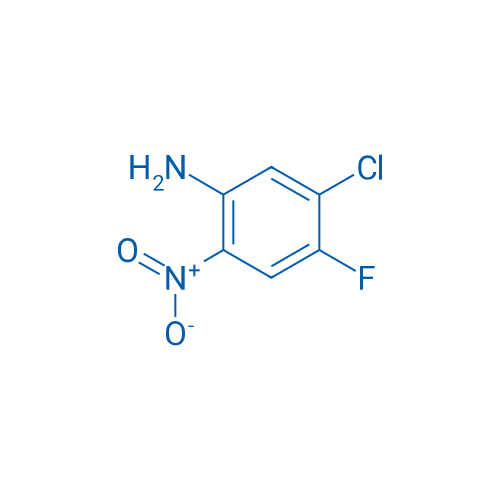 5-Chloro-4-fluoro-2-nitroaniline 10g