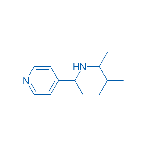 (3-Methylbutan-2-yl)[1-(pyridin-4-yl)ethyl]amine 250mg