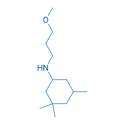 N-(3-Methoxypropyl)-3,3,5-trimethylcyclohexan-1-amine 250mg