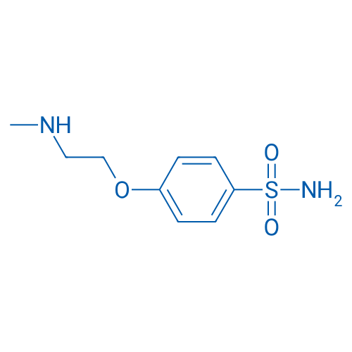 4-[2-(Methylamino)ethoxy]benzene-1-sulfonamide 1g