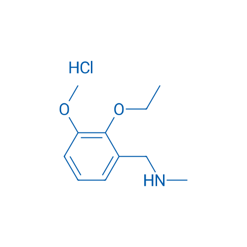 1-(2-Ethoxy-3-methoxyphenyl)-N-methylmethanamine hydrochloride 1g