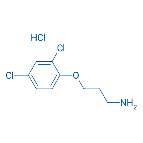 3-(2,4-Dichlorophenoxy)propan-1-amine hydrochloride 1g