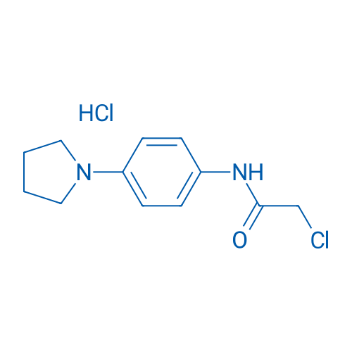 2-Chloro-N-[4-(pyrrolidin-1-yl)phenyl]acetamide hydrochloride 5g