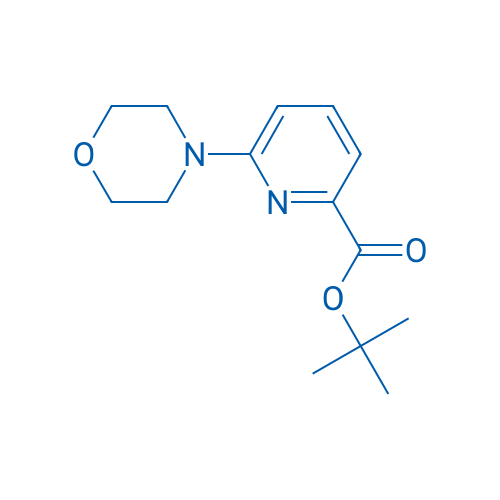 tert-Butyl 6-morpholinopicolinate 1g