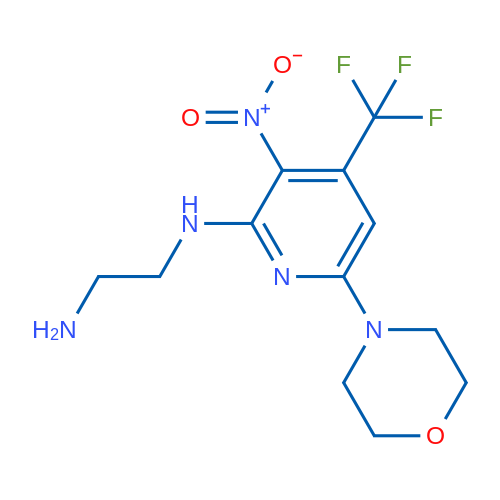 N1-(6-MOrpholin-4'-yl-3-nitro-4-(trifluoromethyl)-pyridin-2-yl)ethane-1,2-diamine 1g
