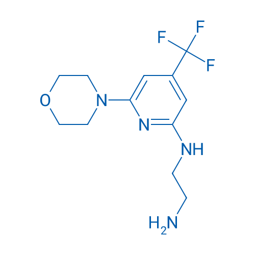 N1-[6-(Morpholin-4-yl)-4-(trifluoromethyl)pyridin-2-yl]ethane-1,2-diamine 1g