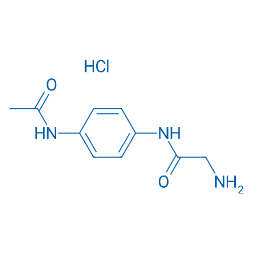 2-Amino-N-(4-acetamidophenyl)acetamide hydrochloride 1g