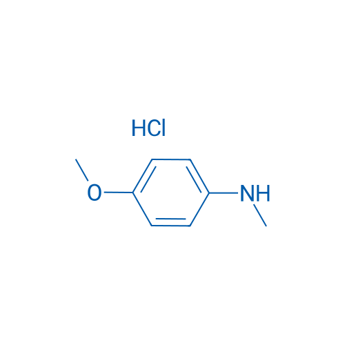 4-Methoxy-N-methylaniline hydrochloride 10g