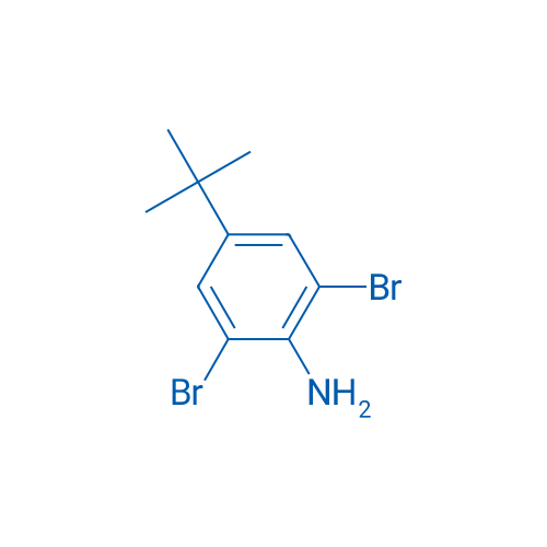 2,6-Dibromo-4-(tert-butyl)aniline 25g
