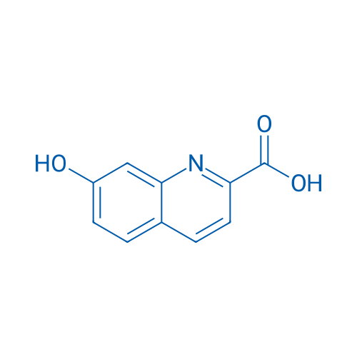 7-Hydroxyquinoline-2-carboxylic acid 250mg