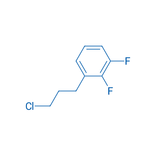 1-(3-Chloro-propyl)-2,3-difluoro-benzene 1g