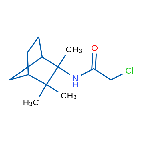 2-Chloro-N-(2,3,3-trimethylbicyclo[2.2.1]heptan-2-yl)acetamide 1g