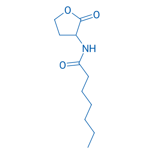 N-Heptanoyl-DL-homoserine lactone 10mg