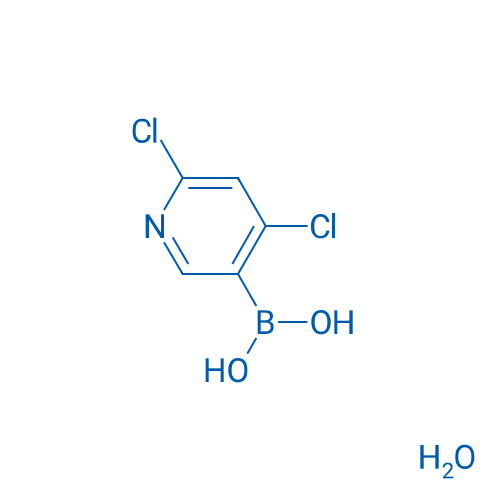 (4,6-Dichloropyridin-3-yl)boronic acid hydrate 5g