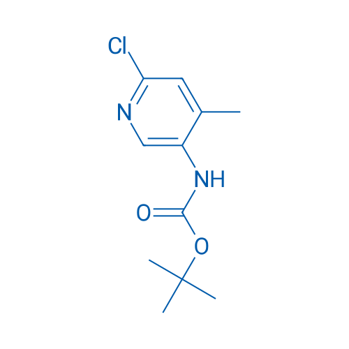 tert-Butyl (6-chloro-4-methylpyridin-3-yl)carbamate 250mg