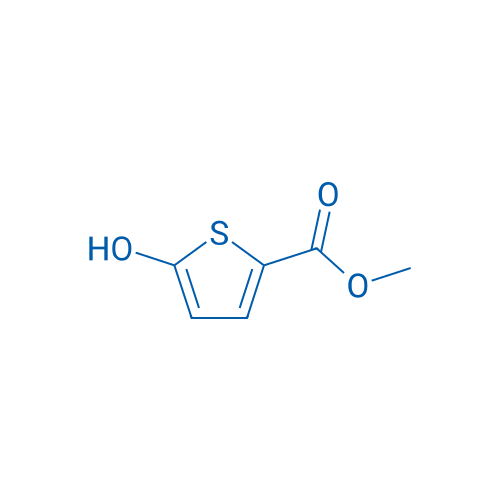 Methyl 5-hydroxythiophene-2-carboxylate 100mg