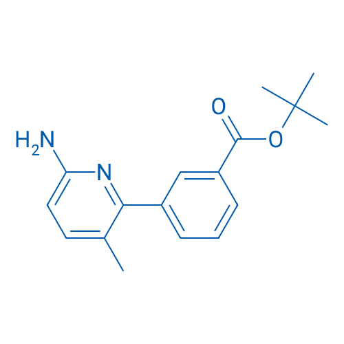 tert-Butyl 3-(6-amino-3-methylpyridin-2-yl)benzoate 1g