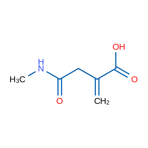 N-MEthyl-2-methylene-succinamic acid 5g