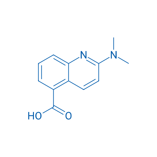 2-(Dimethylamino)quinoline-5-carboxylic acid 1g