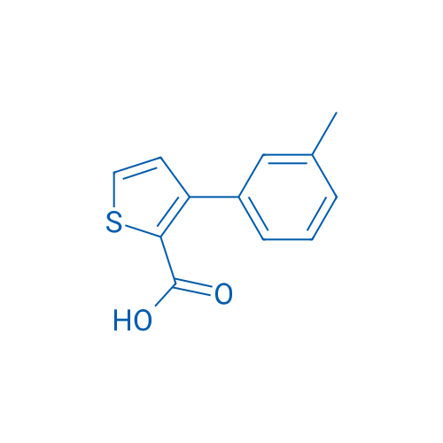 3-(3-Methylphenyl)thiophene-2-carboxylic acid 1g