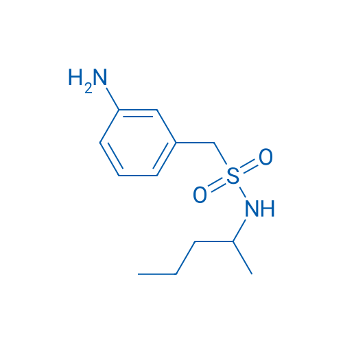 1-(3-Aminophenyl)-N-(pentan-2-yl)methanesulfonamide 1g