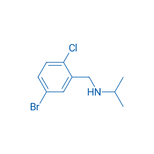 N-(5-Bromo-2-chlorobenzyl)propan-2-amine 1g