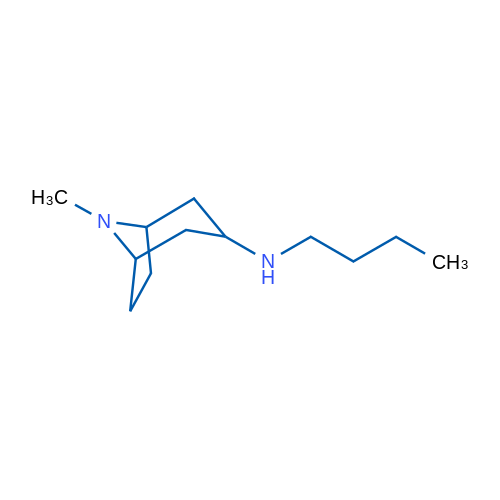N-Butyl-8-methyl-8-azabicyclo[3.2.1]octan-3-amine 1g