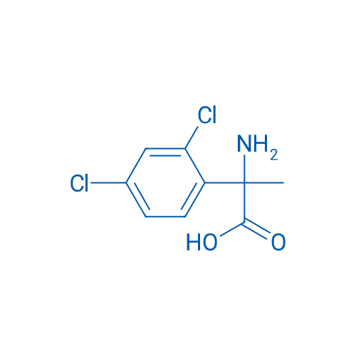 2-Amino-2-(2,4-dichlorophenyl)propanoic acid 1g
