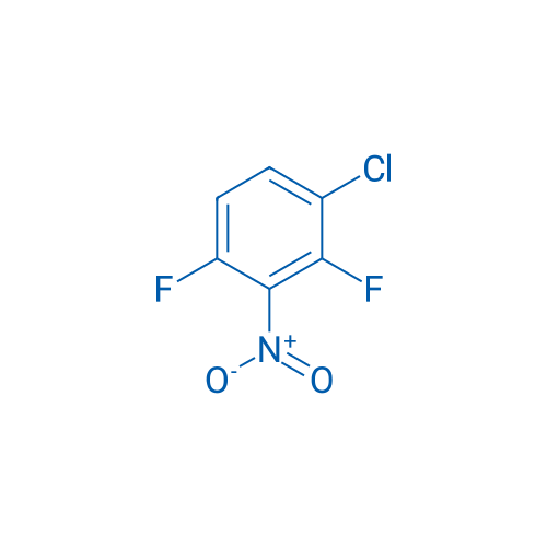 1-Chloro-2,4-difluoro-3-nitrobenzene 10g