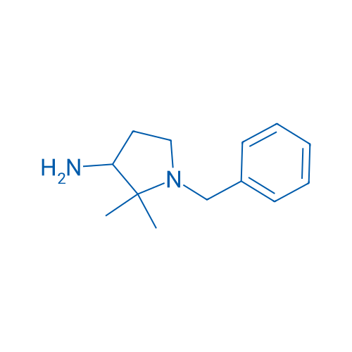 1-Benzyl-2,2-dimethylpyrrolidin-3-amine 250mg