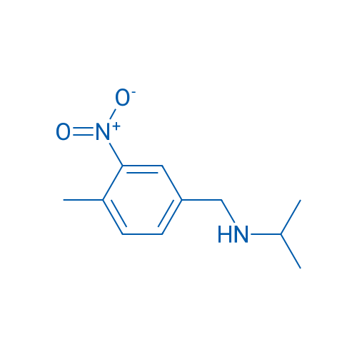 [(4-Methyl-3-nitrophenyl)methyl](propan-2-yl)amine 1g