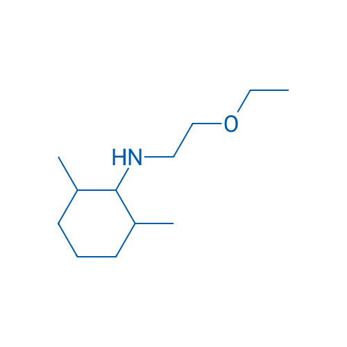 N-(2-Ethoxyethyl)-2,6-dimethylcyclohexan-1-amine 100mg
