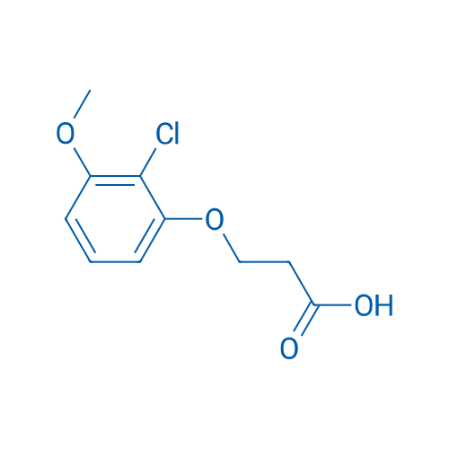 3-(2-Chloro-3-methoxyphenoxy)propanoic acid 1g