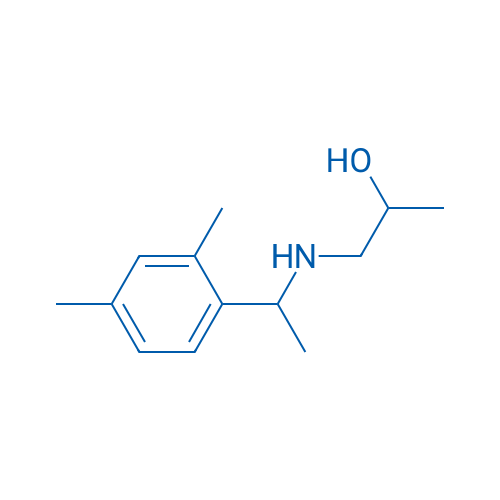 1-{[1-(2,4-dimethylphenyl)ethyl]amino}propan-2-ol 1g
