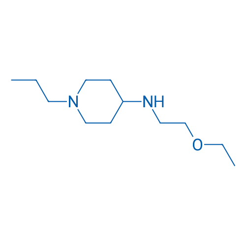 N-(2-Ethoxyethyl)-1-propylpiperidin-4-amine 250mg